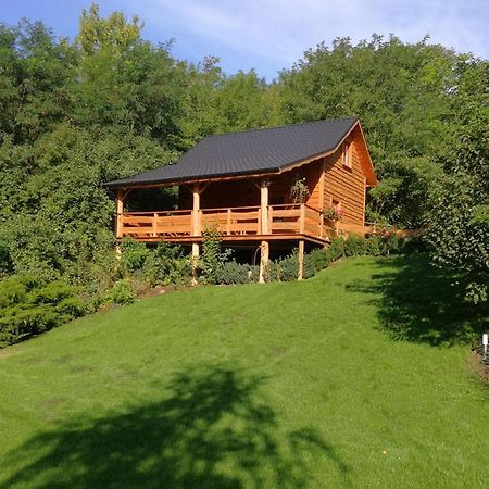 Villa Eden Ślesin 外观 照片