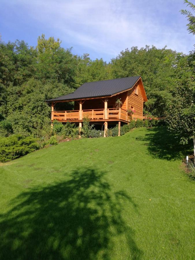 Villa Eden Ślesin 外观 照片