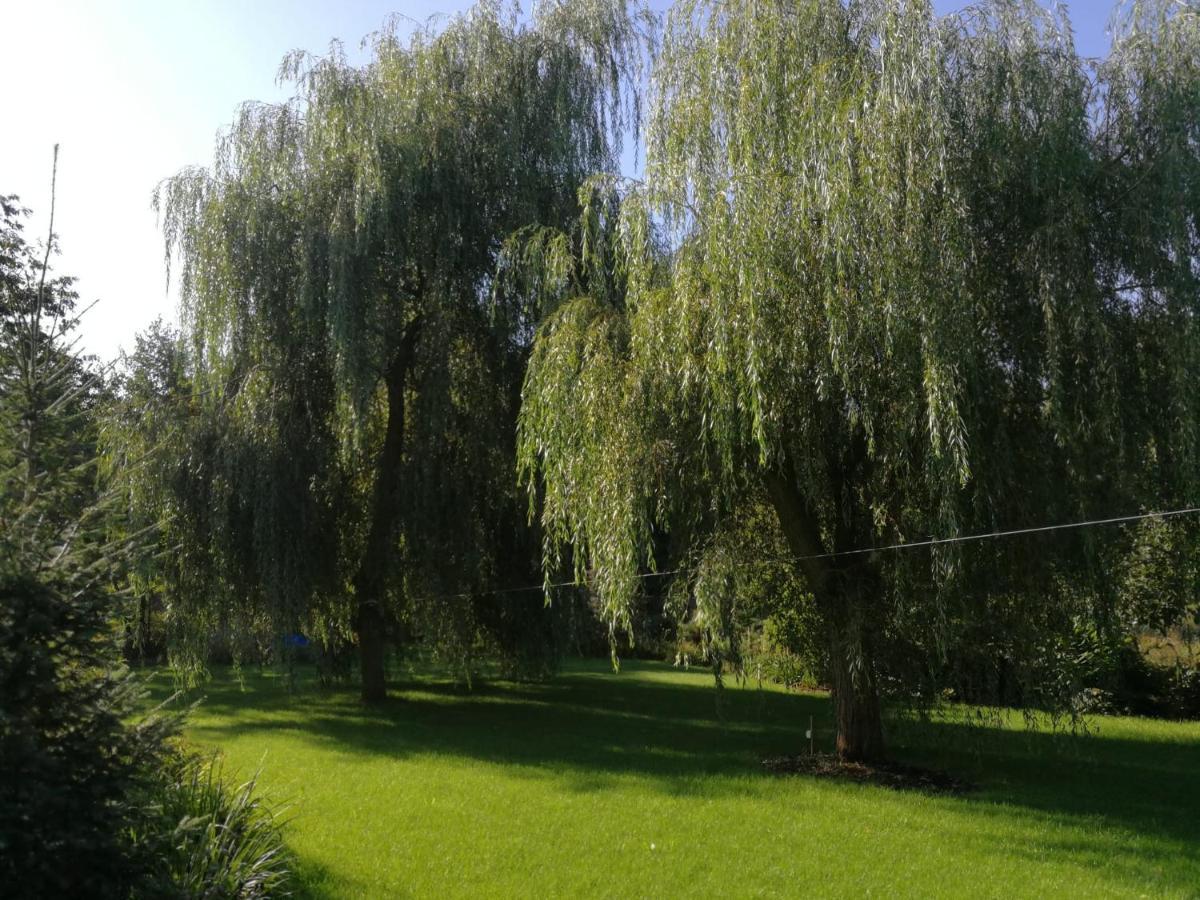Villa Eden Ślesin 外观 照片